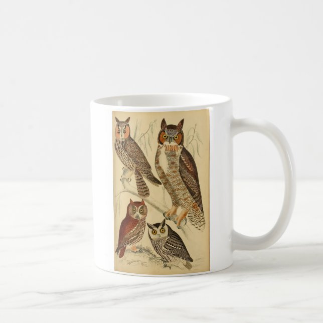 Four owls illustration coffee mug (Right)