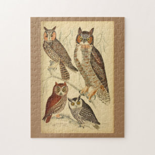 Four owls illustration jigsaw puzzle