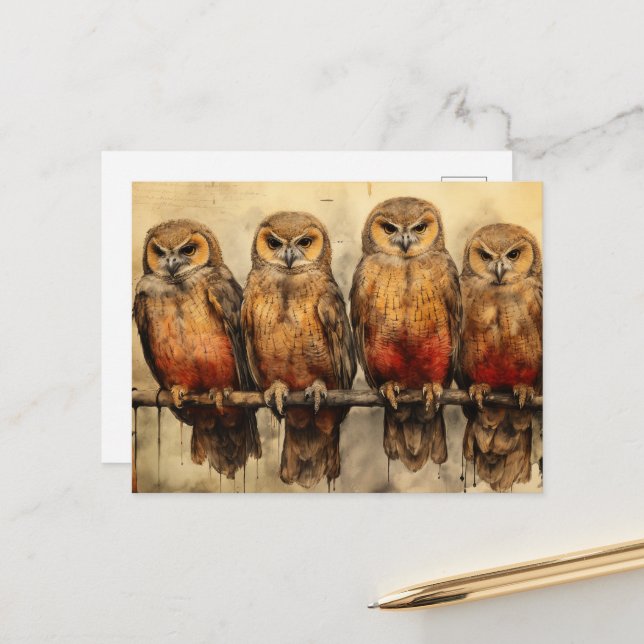 Four Owls Postcard (Front/Back In Situ)