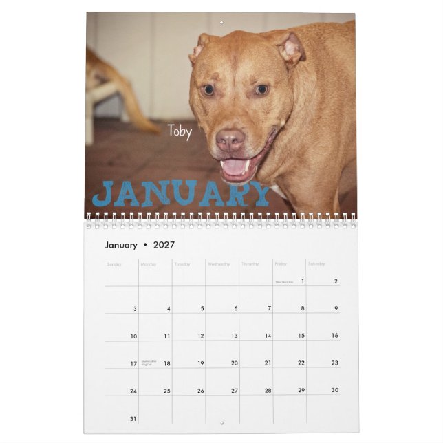 Four Paws 2014 Calendar (Jan 2027)