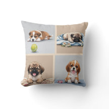 Four Paws, Four Stories