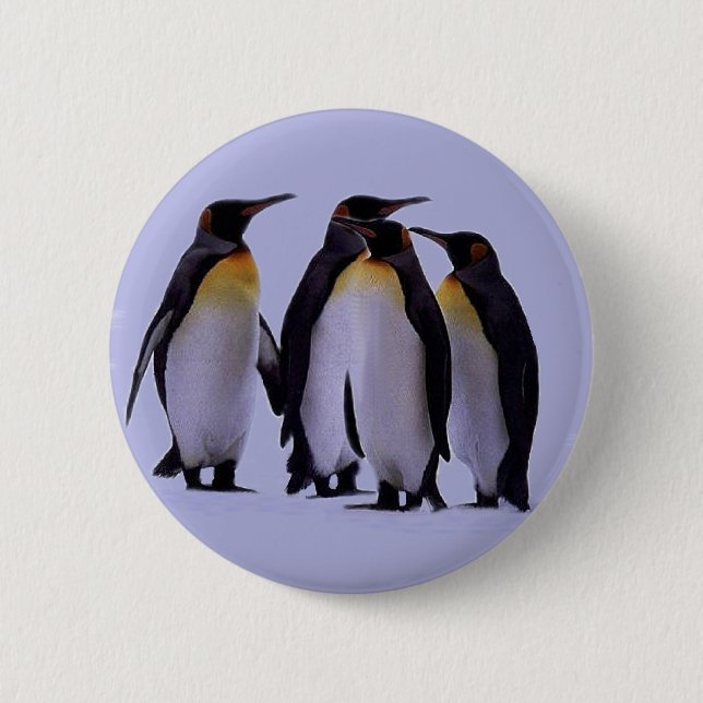 Four Penguins Pinback Button (Front)