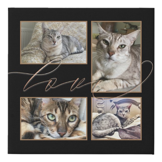 Four Photos Collage Love Pets Black Faux Canvas Print (Front)