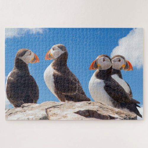 Four Puffins Standing On A Rock Jigsaw Puzzle