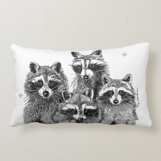 coon pillows