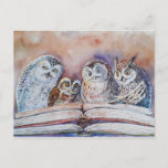 Four Reading Owls Postcard at Zazzle