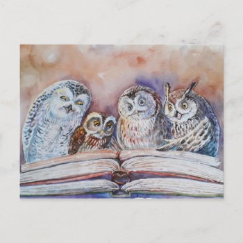 Four Reading Owls Postcard by IronicOwl at Zazzle