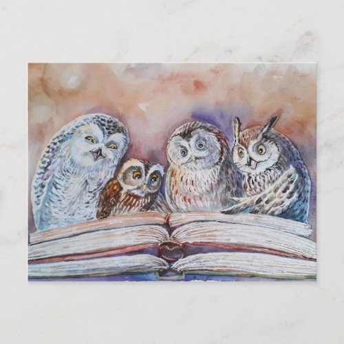 Four reading owls postcard