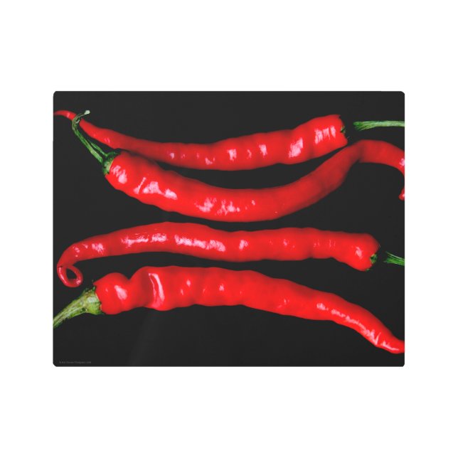 Four Red Chilies 14x11 (35x27.5cm) wamecna Metal Print (Front)