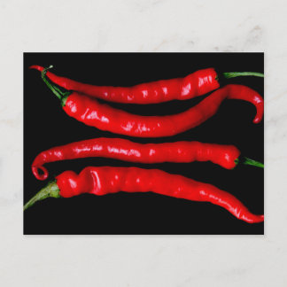 Four Red Chilies pccna Postcard