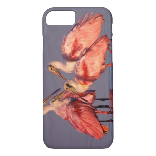 Four Roseate Spoonbills Ajaia ajaja at Dawn iPhone 87 Case