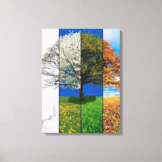 Four Seasons Canvas Print