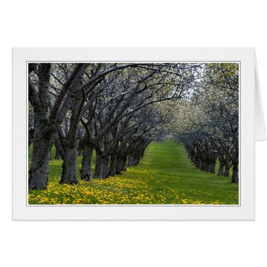 four seasons in michigan 02 card (Front Horizontal)