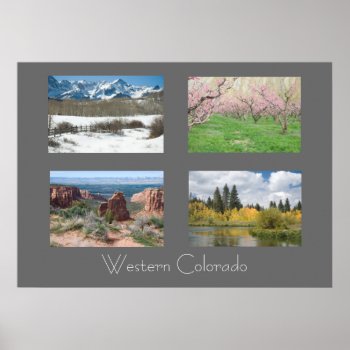 Four Seasons In Western Colorado Nature Poster by bluerabbit at Zazzle