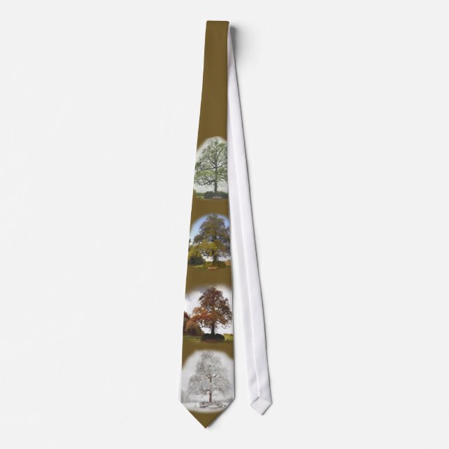 Four Seasons Neck Tie (Front)