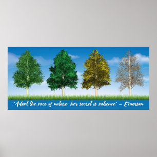 Four Seasons of Aspen Trees Poster