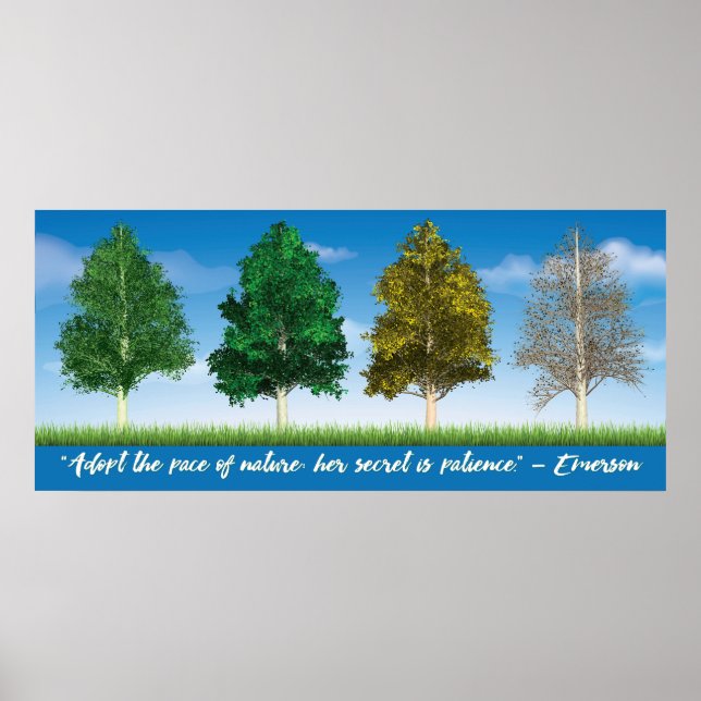 Four Seasons of Aspen Trees Poster (Front)