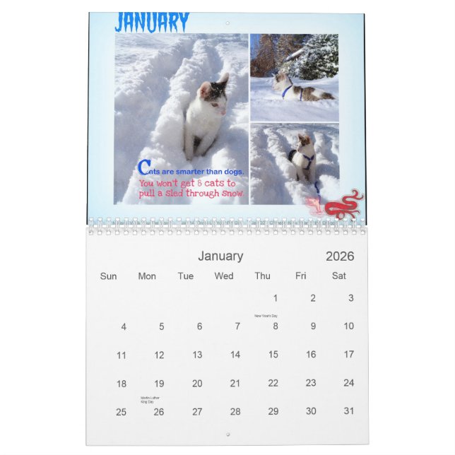 Four Seasons of Cat Wisdom 101 Calendar (Jan 2026)