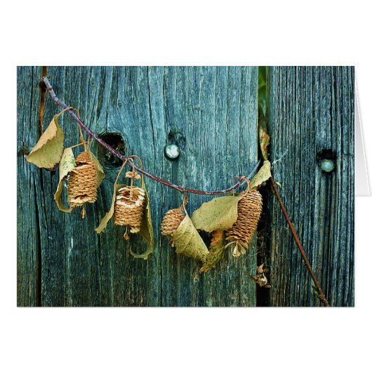 Four Sisters (Front Horizontal)