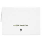 Four Sisters Cards (Back Horizontal)