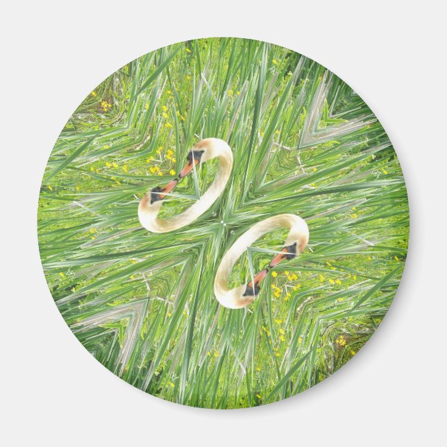 Four swans fridge magnet (Front)