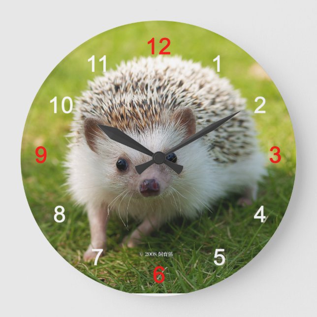 "Four-toed hedgehog" wall clock,No.01 Large Clock (Front)