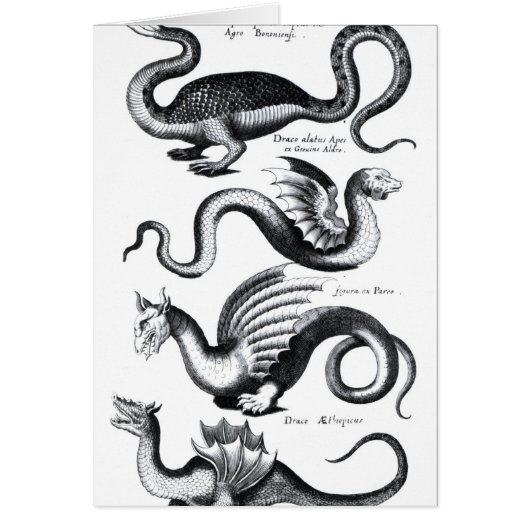 Four types of dragon cards (Front)