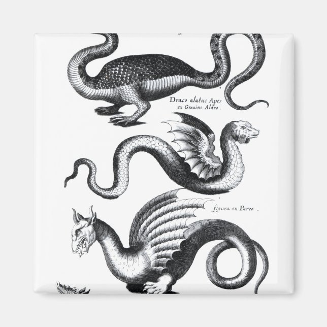 Four types of dragon magnet (Front)