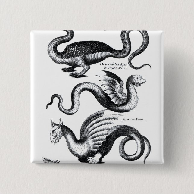 Four types of dragon pinback button (Front)