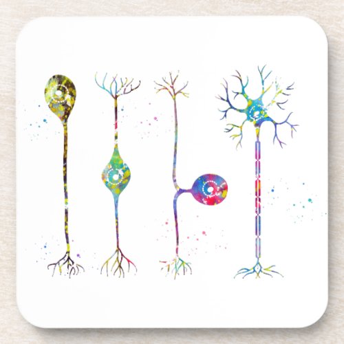 Four types of neurons beverage coaster