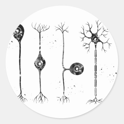 Four types of neurons classic round sticker