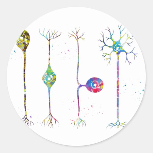 Four types of neurons classic round sticker