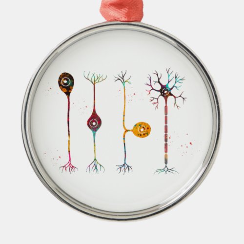 Four types of neurons metal ornament