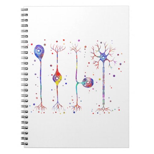 Four types of neurons notebook