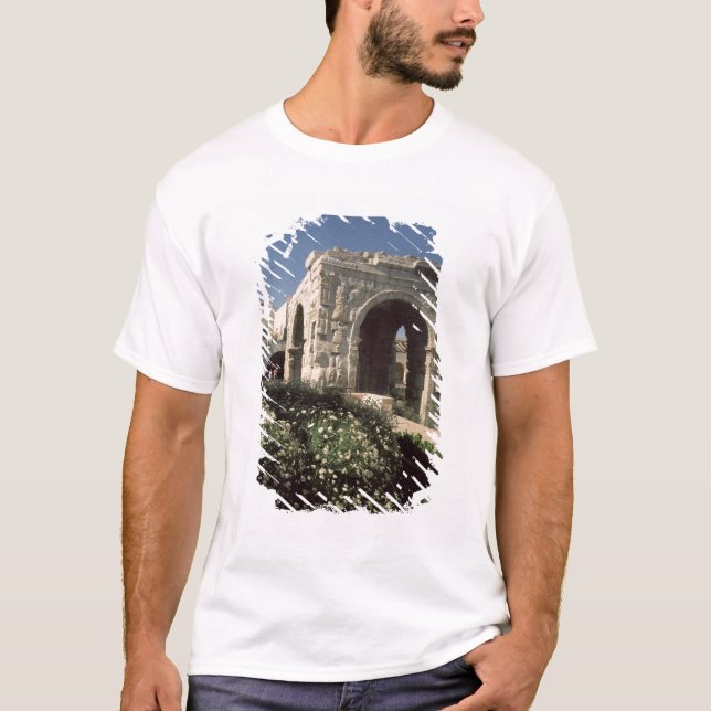 Four-way Arch of Marcus Aurelius and Lucius T-Shirt (Front)