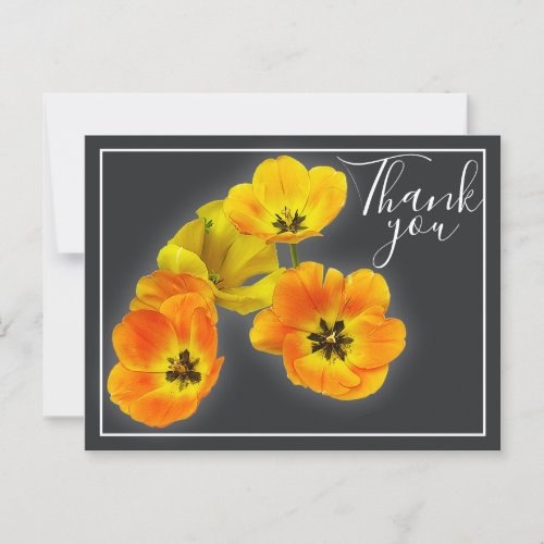 Four Yellow Orange Tulips Gray Backdrop Thank You Postcard