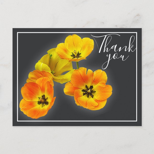Four Yellow Orange Tulips Gray Backdrop Thank You Postcard (Front)