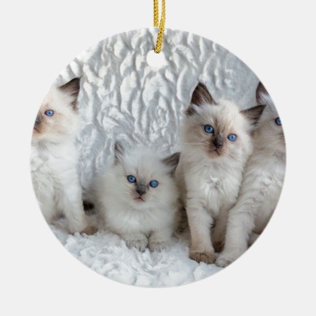 Four young Ragdoll cats sitting in a row Ceramic Ornament (Front)
