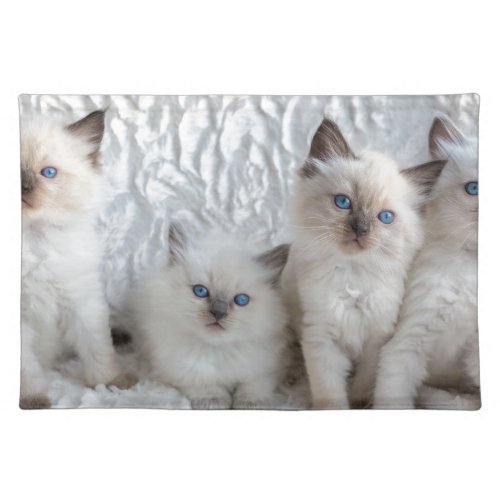 Four young Ragdoll cats sitting in a row Placemat
