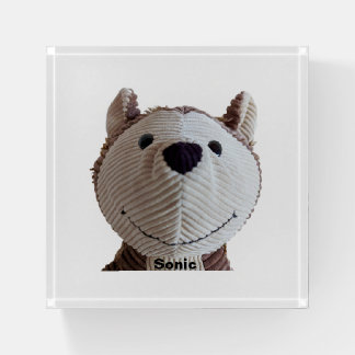 FOURCorduroykids Paperweight