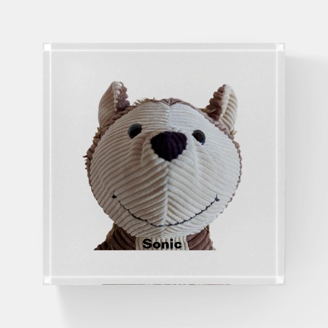 FOURCorduroykids  Paperweight (Front)