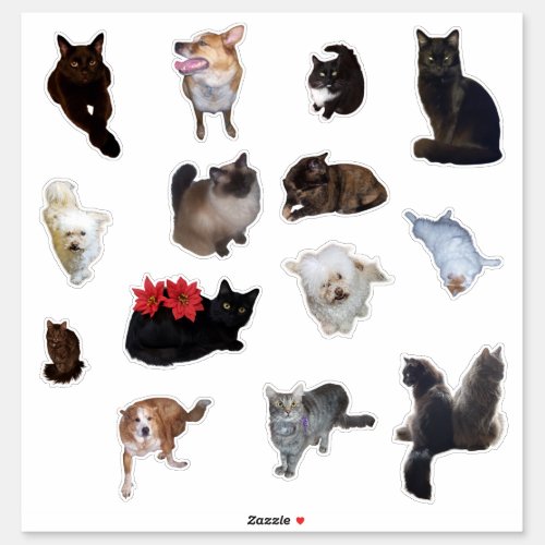 Fourteen Cute Dog and Cat Personalized Photo  Sticker