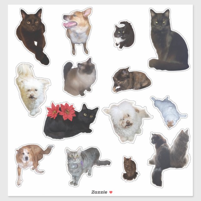 Fourteen Cute Dog and Cat Photo Sticker (Sheet)
