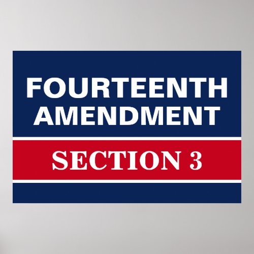 Fourteenth Amendment Section 3 Constitution Poster