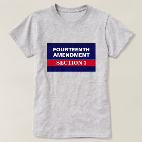 Fourteenth Amendment Section 3 Constitution T_Shirt