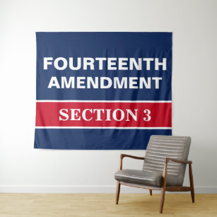 Fourteenth Amendment Section 3 Constitution Tapestry