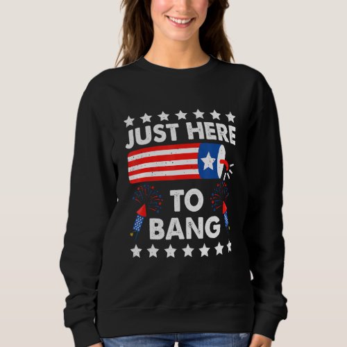 Fourth Of July 4th Of July Im Just Here To Bang F Sweatshirt