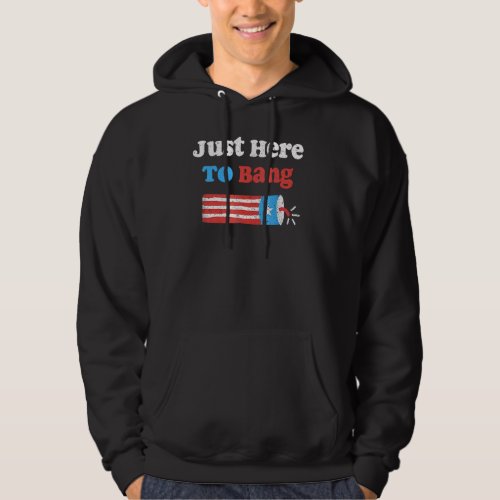 Fourth Of July 4th Of July Im Just Here To Bang G Hoodie