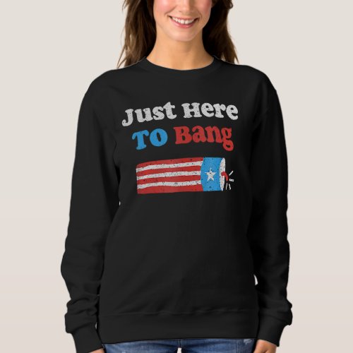 Fourth Of July 4th Of July Im Just Here To Bang G Sweatshirt