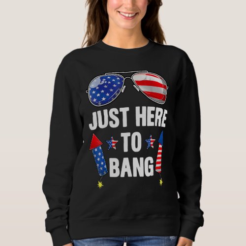Fourth Of July 4th Of July Im Just Here To Bang U Sweatshirt